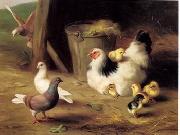 unknow artist Cocks 133 oil painting picture wholesale